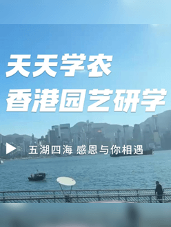 与香港园艺学会联合举办香港园艺研学，专业园境师带队讲解。