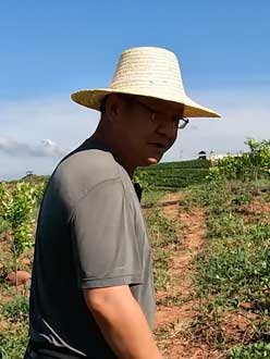 农业人叶涛，50多岁通讯人跨界搞农业，他要用1000万打造一个梦。